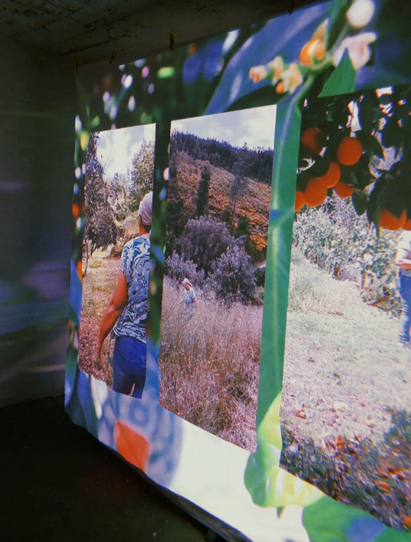 Video projection with layered landscape imagery, Bravo, Sertã, 2024 Video projection with layered landscape imagery, Bravo, Sertã, 2024